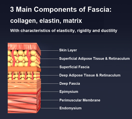Multifunctional Fascia Massager with Heating EMS and Red Light Therapy Button Control